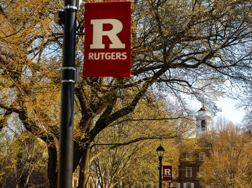 trees with a Rutgers flag